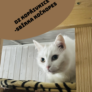 KOČKOPES DĚTSKÉHO  ZASTUPITELSTVA